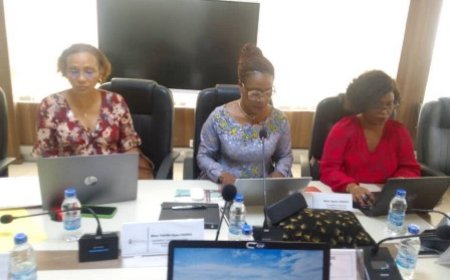 Economie numérique : le RIFEN sollicite l’appui du ministre Amadou Coulibaly