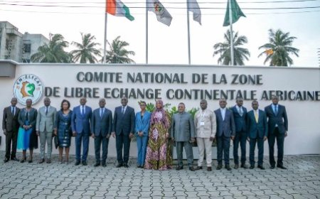 CN-ZLECAf : le ministre Souleymane Diarrassouba présente l’expérience ivoirienne au ministre du Commerce extérieur de la RDC