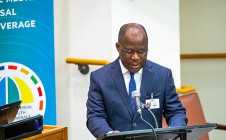 Couverture Sanitaire Universelle : L’expérience ivoirienne présentée à New-York par le ministre Pierre Dimba