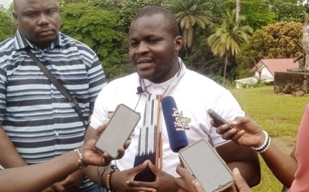 Plus de 300 nominés pour un seul Baoulé d’or 2024