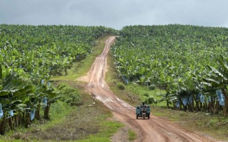 La politique de la souveraineté alimentaire, au centre de la conférence de presse "Tout Savoir Sur" le 26 septembre 2023