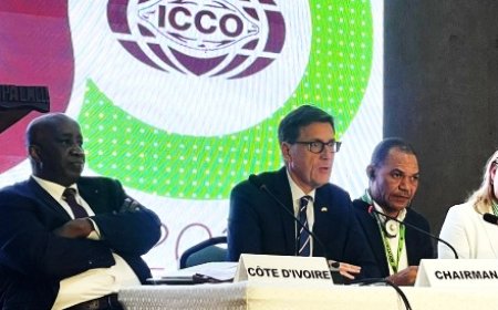 ICCO : Le nouveau président, Rafael Soriano, s’engage à renforcer le rôle de l’organisation dans l'industrie cacaoyère