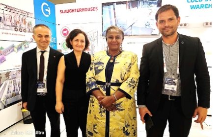 4ème Forum économique et commercial Turquie-Afrique : la DG du CEPICI, Solange Amichia, présente les améliorations du climat d'investissement en Côte d'Ivoire