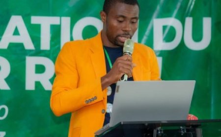 Le cabinet alerte foncier sarl propose un outil efficace aux acteurs immobiliers