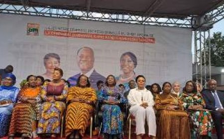 Sénat : La jeunesse féminine professionnelle du RHDP honore Kandia Camara