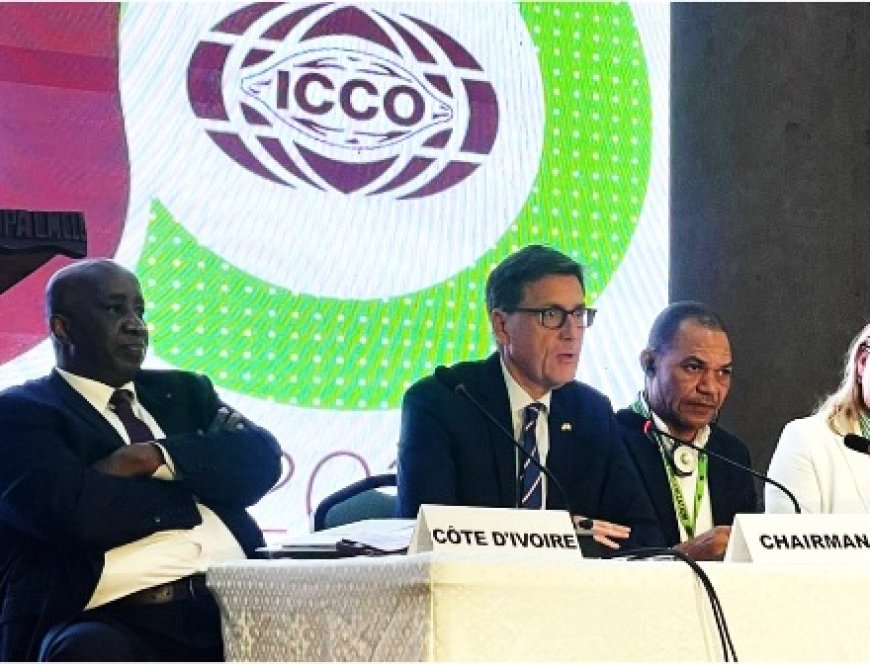 ICCO : Le nouveau président, Rafael Soriano, s’engage à renforcer le rôle de l’organisation dans l'industrie cacaoyère