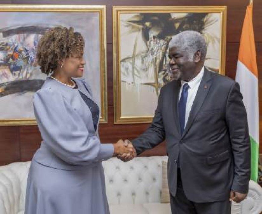 L'Ambassadeur des Etats-Unis, Jessica Davis Ba, a rencontré le Premier Ministre Robert Beugré Mambé et l’a félicité pour sa nomination.