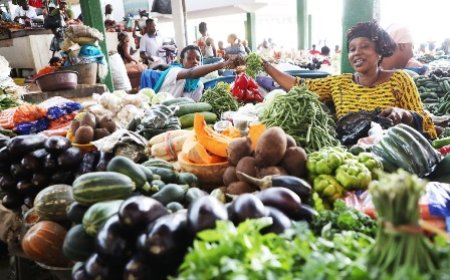 Sécurité alimentaire : Le gouvernement ivoirien engagé à exploiter les énormes potentialités du pays