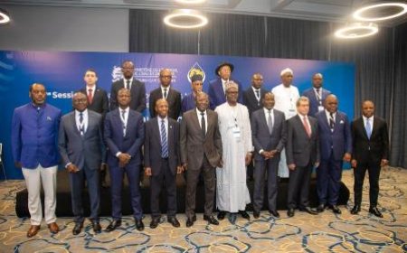 Industries pétrolière et énergétique : le ministre Mamadou Sangafowa-Coulibaly salue l'idée de la création de la Banque africaine de l’énergie