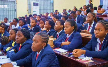 Enseignement supérieur/ Employabilité des diplômés : le Statut national de l’Étudiant-Entrepreneur (SNEE) officiellement lancé