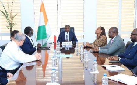 Renforcement des compétences des cadres et étudiants ivoiriens : Une délégation de Harvard Business School reçue en audience par le ministre des Mines, du Pétrole et de l’Energie