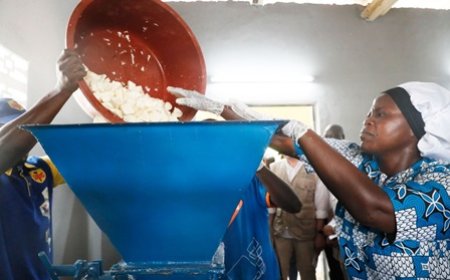 Sécurité alimentaire : des programmes concrets mis en œuvre