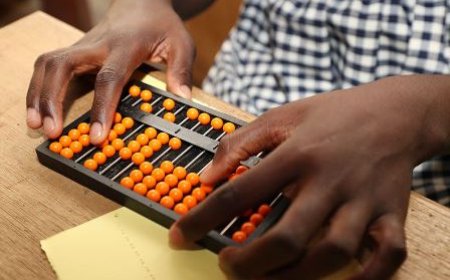 Agence à la Une : l’INIPA, un institut pour la promotion des aveugles