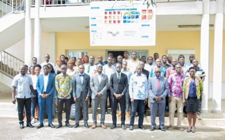 Énergies renouvelables : le district du Denguélé propice à la production d’énergie solaire et ceux du Zanzan et d’Abidjan à l’énergie éolienne, selon ENER-CI