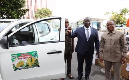 Filières riz et maïs : le ministre Kobenan Kouassi Adjoumani annonce la distribution de plusieurs milliers de tonnes d’intrants et de semences améliorées