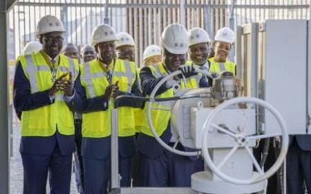 Hydrocarbures : le Premier Ministre Beugré Mambé lance la production du gisement Baleine, le plus grand gisement de pétrole jamais découvert dans le bassin sédimentaire ivoirien