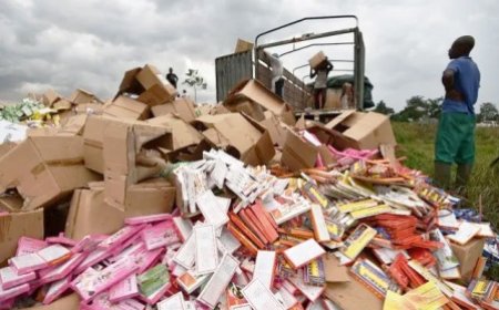 Lutte contre la fraude et la contrefaçon : plus de 100 000 articles contrefaits pour plus de 500 millions de FCFA saisis et détruits en 2022