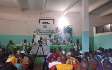 Man / Présidence du Pdci-Rda : L'équipe de campagne de Tidjane Thiam ratisse large dans le Tonkpi