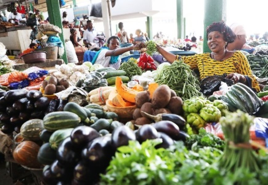 Sécurité alimentaire : Le gouvernement ivoirien engagé à exploiter les énormes potentialités du pays