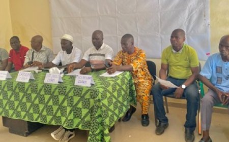 Filière café cacao / Pour défendre au mieux leurs intérêts : Les organisations professionnelles de la filière s’organisent en collectif