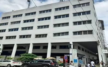 Bail à usage professionnel : la sous-location est interdite, sauf stipulation contraire du bail