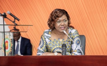 Changement climatique : Nialé Kaba présente les avantages de l’économie verte aux conseillers du Cesec