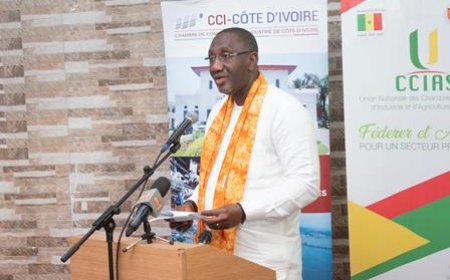 Foire internationale de Dakar : Pays invité d'honneur, la Côte d'Ivoire célébrée en présence du ministre Souleymane Diarrassouba