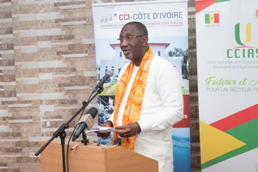 Foire internationale de Dakar : Pays invité d'honneur, la Côte d'Ivoire célébrée en présence du ministre Souleymane Diarrassouba