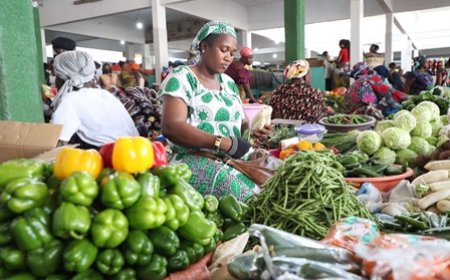 Discours de nouvel an : le Président Alassane Ouattara réaffirme l’ambition du gouvernement d’améliorer la productivité et l’approvisionnement des marchés en produits vivriers