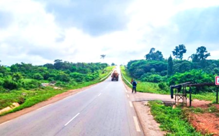 Axe Agnibilékrou-Tanda-Bondoukou : catalyseur de la renaissance économique des régions de l'Indénié-Djuablin et du Gontougo