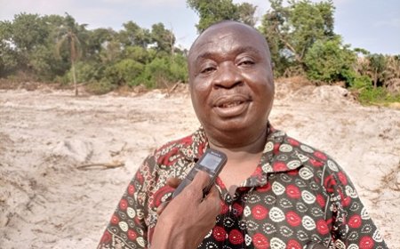 TANO FORCES : Un acteur majeur de l’immobilier et de la construction en Côte-d’Ivoire