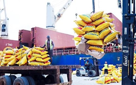 Sécurité alimentaire : Le gouvernement suspend temporairement l’exportation de produits vivriers