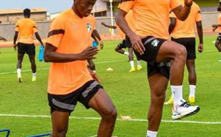 CAN2023 : LA NON RÉCUPÉRATION DE SÉBASTIEN HALLER ET ADINGRA AVANT CÔTE-D'IVOIRE-NIGERIA RESTE PRÉJUDICIABLE POUR LA QUALIFICATION AU SECOND TOUR...