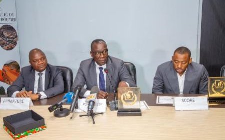 Prix d’excellence 2023 : le ministre Amédé Koffi Kouakou distingue les 2ème et 3ème meilleures entreprises du secteur des routes et ouvrages d’art