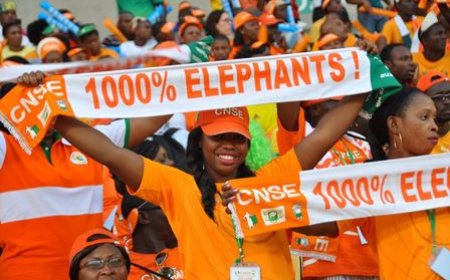 Promotion du sport : Le gouvernement ivoirien engagé à bâtir une grande nation sportive