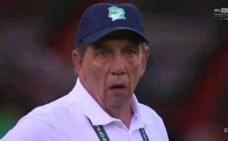 Changement de Cap pour les Éléphants de la Côte-d'Ivoire : Limogeage du sélectionneur Jean Louis Gasset