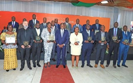 Mines, Energie et Pétrole : le ministre Mamadou Sangafowa-Coulibaly pour un secteur performant et résilient