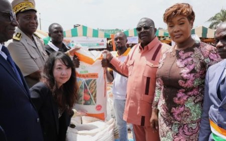Souveraineté alimentaire : 3 524 riziculteurs de la région du Gôh bénéficiaires de 1 470 tonnes d’engrais et 160 tonnes de semences