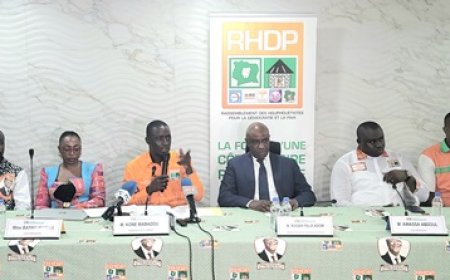 Bureau Exécutif UJ-RHDP : Des commandos au service du parti