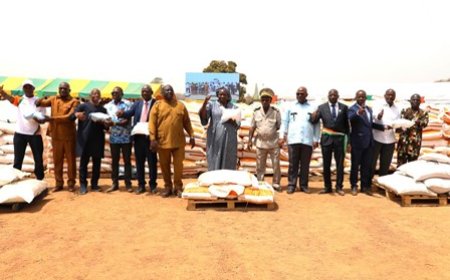 Programme de production alimentaire d’urgence : le ministre Kobenan Kouassi Adjoumani remet d’importants kits agricoles aux riziculteurs de la région du Poro