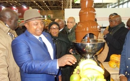 SIA 2024 : la Côte d’ivoire exposera ses potentialités agricoles, halieutiques et forestières du 24 février au 3 mars 2024 à Paris