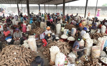 Sécurité alimentaire : le gouvernement poursuit ses efforts