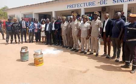 SINEMATIALI : Prévention des risques domestiques, les agents des services en formation