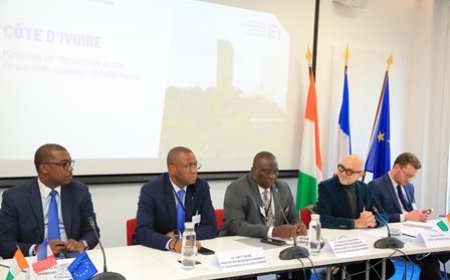 SIA 2024 : le ministre Kobenan Kouassi Adjoumani présente les opportunités d’investissement dans le secteur du vivrier