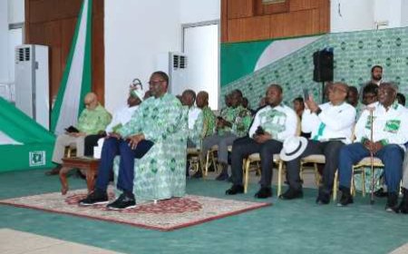 PDCI-RDA : Tidjane Thiam dévoile sa stratégie pour 2025