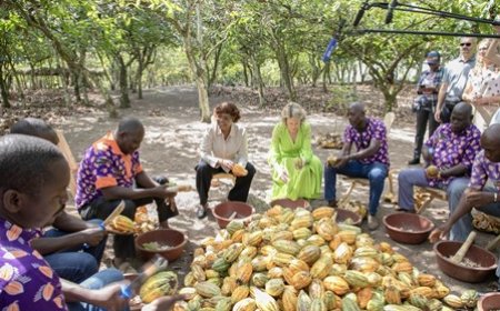 Promotion des ODD dans le secteur du Cacao : la Reine Mathilde de Belgique visite une plantation de cacao