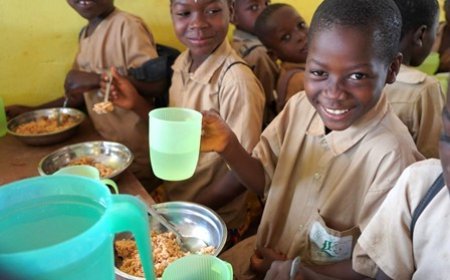 Direction régionale de l'Éducation nationale et de l'Alphabétisation de Daloa : 176 écoles primaires publiques dotées de cantines scolaires sur 737