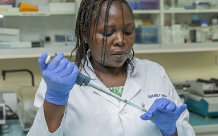 Sciences et développement : La Côte d’Ivoire peut compter sur la contribution des femmes