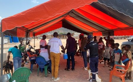 Man/ Campagne de lutte contre la recrudescence de la rage : Vers un objectif de zéro cas en 20230