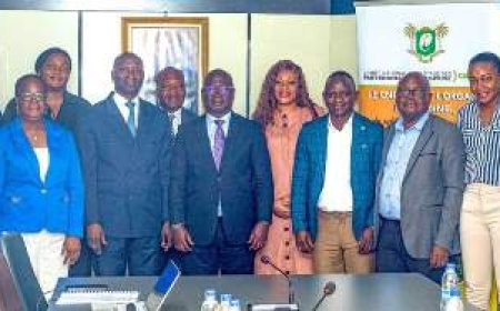 Gestion des infrastructures de la CAN : L'ONS  échange avec le Comité National de Pilotage des Partenariats  Public - Privé.